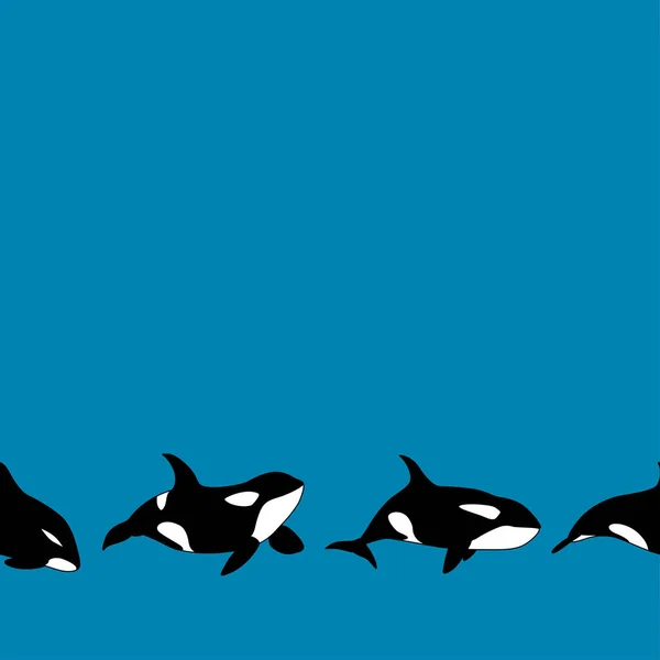 Vector Seamless Border Graphical Killer Whale Swimming Blue Background Orca — Image vectorielle