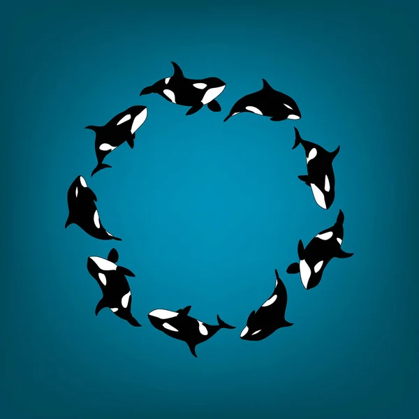 Vector Illustration Killer Whales Swimming Circle Marine Animal Orca Frame — Image vectorielle