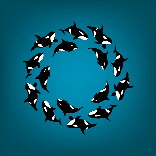 Vector Illustration Killer Whales Swimming Circle Marine Animal Frame Blue — Image vectorielle
