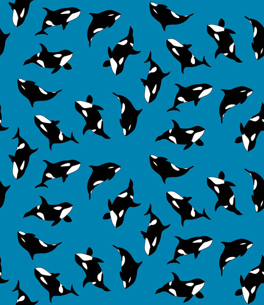 Vector seamless pattern of hand drawn killer whale swimming on blue background. Texture with jamb of Orca