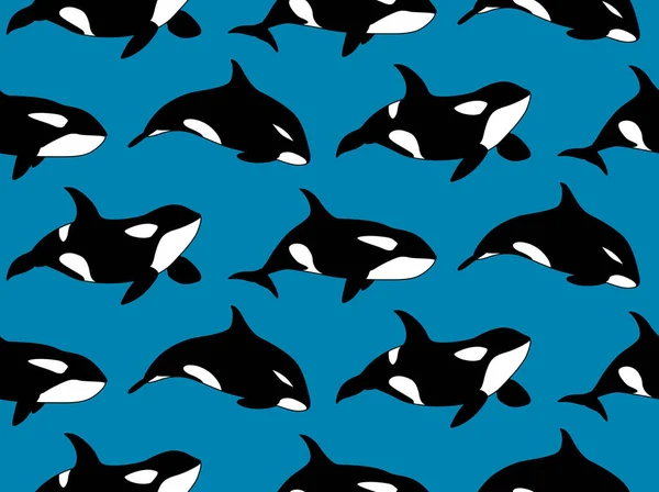 Vector Seamless Pattern Hand Drawn Killer Whale Swimming Blue Background — Image vectorielle