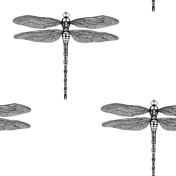 Modello Senza Cuciture Vettoriale Libellula Disegno Mano Nera Sfondo Bianco — Vettoriale Stock