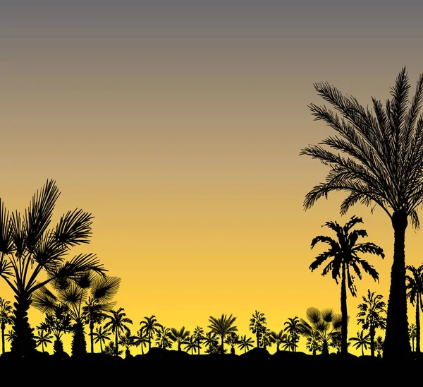 Vector Card Realistic Palm Trees Silhouette Tropical Grunge Sunset Sunrise — Vetor de Stock