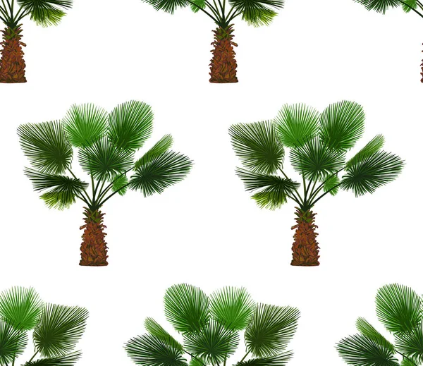 Vector Seamless Pattern Color Palm White Background Tropical Palm Background — Vector de stock