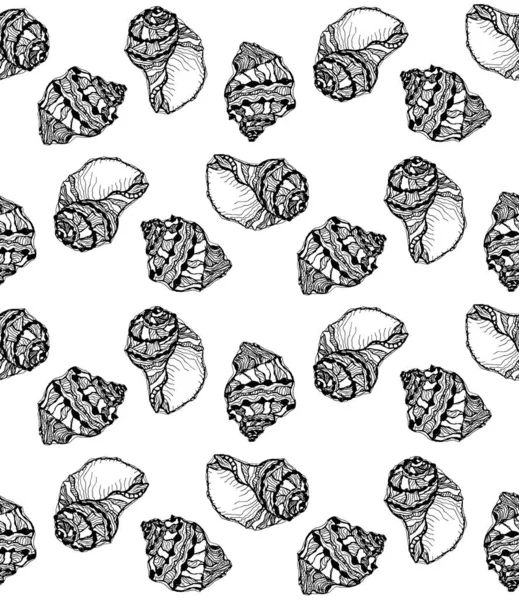 白色背景上黑色贝壳的矢量无缝图案 手绘草图软体动物海贝壳 — 图库矢量图片