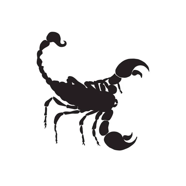 Silhouette Nera Scorpione Vettoriale Scorpione Segno Zodiacale Silhouette — Vettoriale Stock