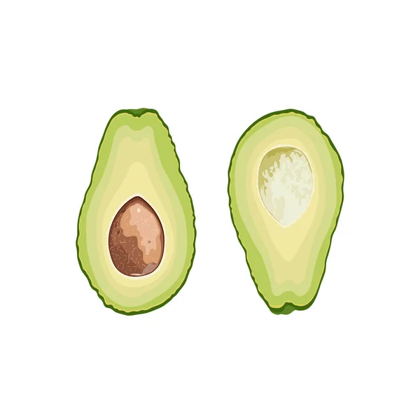 Vector Fruit Avocado Avocado Cut Half Stone — Archivo Imágenes Vectoriales