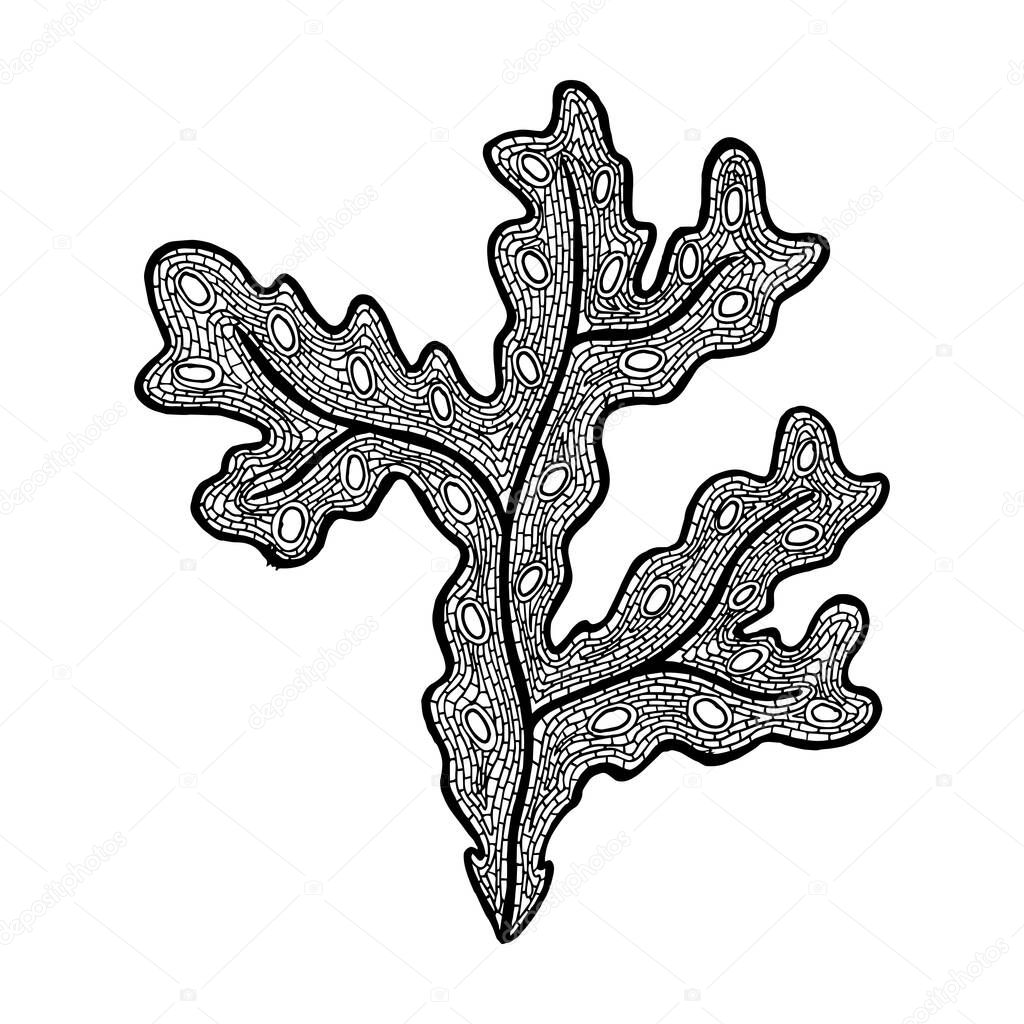 Vector illustration of hand drawn Fucus algae. Coloring page book - zendala for relaxation and meditation. Symbol of beautiful skin and slim body