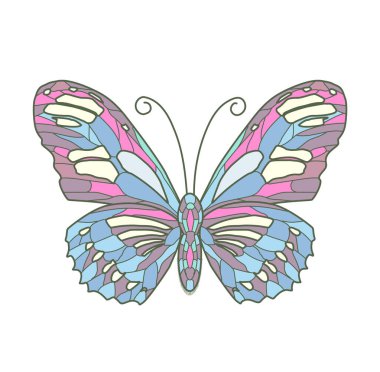 Beyaz arkaplanda renk kelebeğinin vektör illüstrasyonu