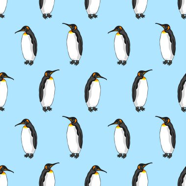Mavi arka planda penguen deseni var. Kuş imparator penguenlerin resmi