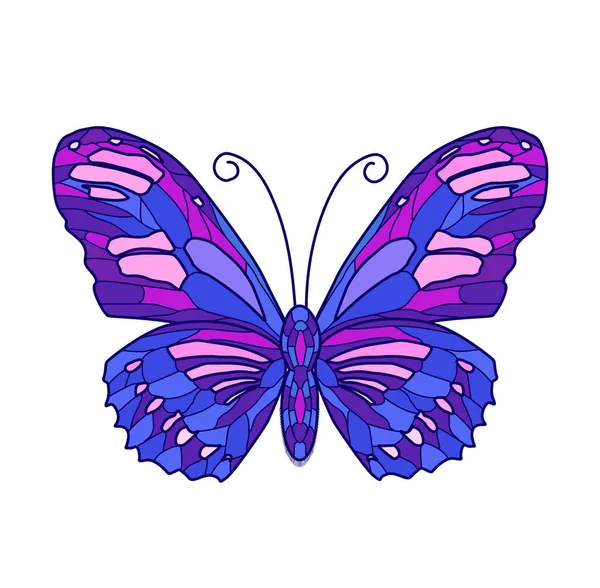 Vektor Illustration Des Farbigen Schmetterlings Auf Weißem Hintergrund — Stockvektor