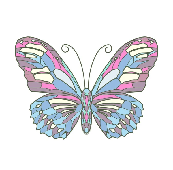 Εικονογράφηση Διάνυσμα Του Χρώματος Πεταλούδα Λευκό Φόντο — Διανυσματικό Αρχείο