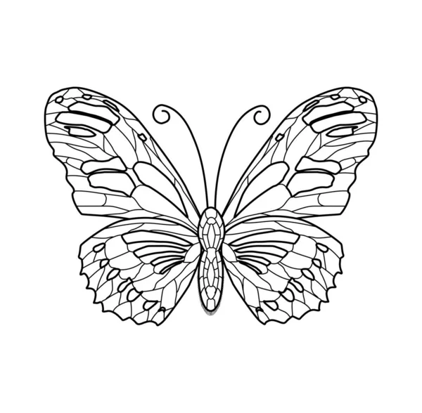 Vector Illustration Black White Butterfly Contour — Stock Vector