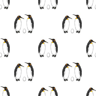 Yumurtalı penguen kuşunun kusursuz bir örneği. İmparator penguen ailesi