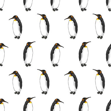 Beyaz arkaplandaki penguen desenli vektör. Kuş imparator penguenlerin resmi