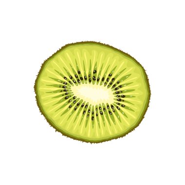 Vector kivi dilimi. Gerçekçi düz tropikal meyve kivisi.