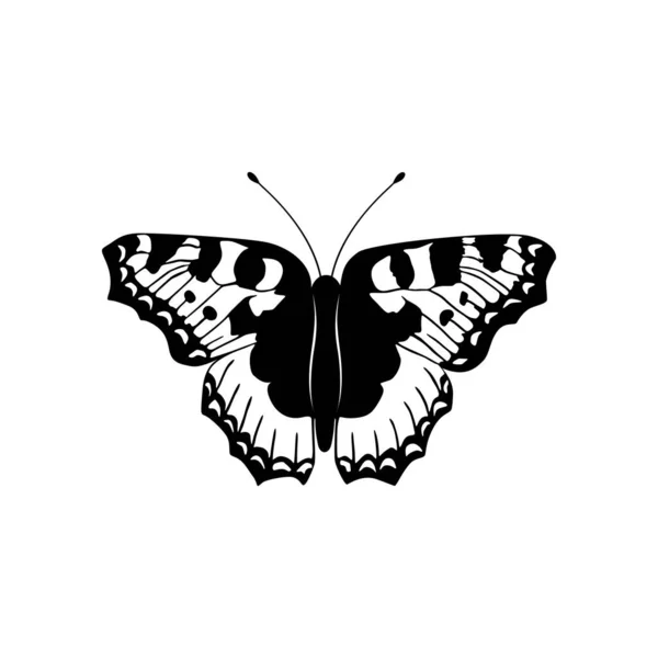 Ilustración Vectorial Mariposa Blanco Negro — Vector de stock