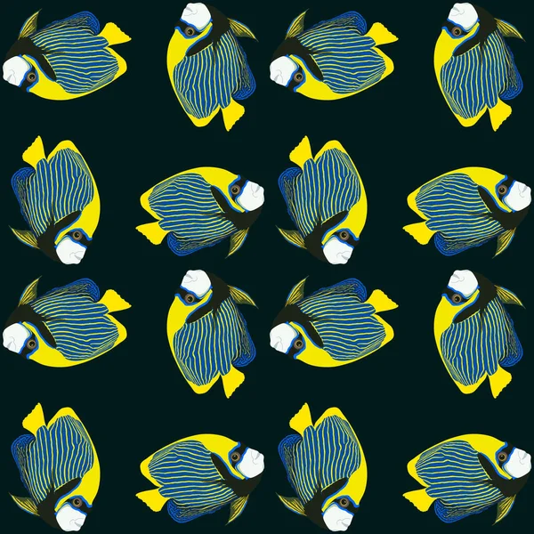 Modèle Sans Couture Vectoriel Poissons Baignade Empereur Angelfish Imperméable Pomacanthus — Image vectorielle