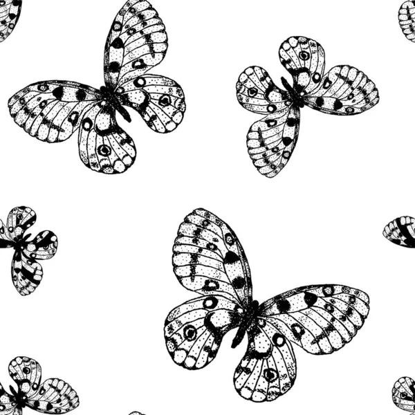 Vector Seamless Pattern Black White Butterfly Parnassius Apollo Coloring Page — Stock Vector