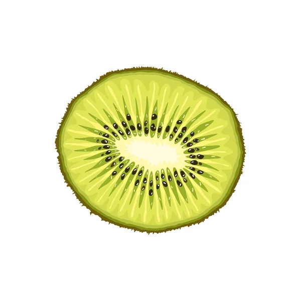 Fatia Vetor Kiwi Quivi Frutas Tropicais Planas Realista — Vetor de Stock