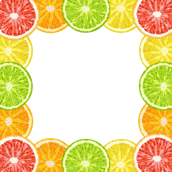 Vector Decorative Frame Citrus Slices Lime Grapefruit Lemon Orange — Stock Vector