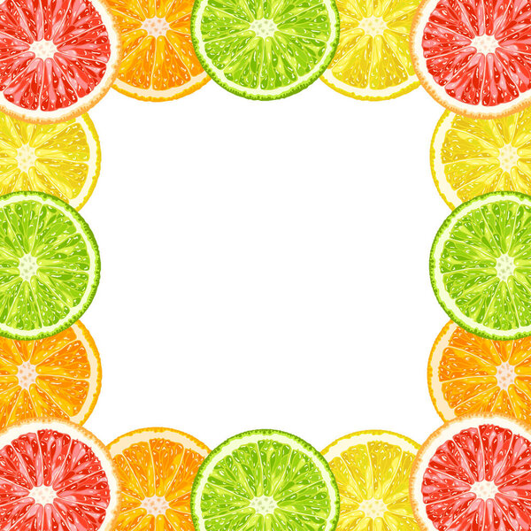 Vector decorative frame from citrus slices - lime, grapefruit, lemon, orange