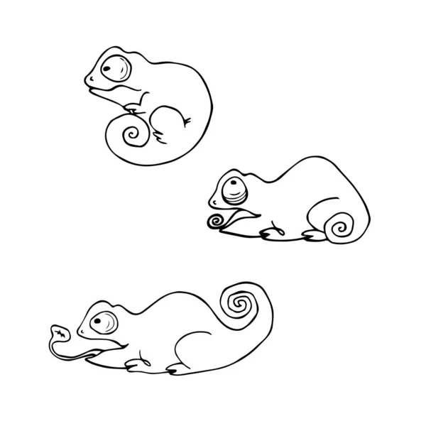 Dibujos Animados Lindo Conjunto Camaleones Imagen Del Contorno Vectorial — Archivo Imágenes Vectoriales