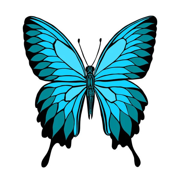 Mariposa Vectorial Mariposa Papilio Blumei Azul Montaña Cola Golondrina Mariposa — Vector de stock