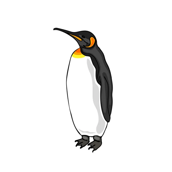 Vektör illüstrasyon Pengueni. Kuş imparatoru penguen.