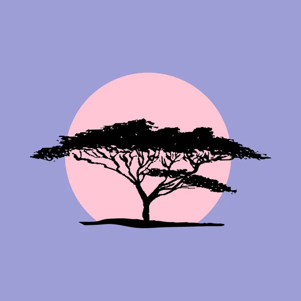 Vector Silhouette Acacia Tree Safari Sunset Background African Flora — Stock Vector