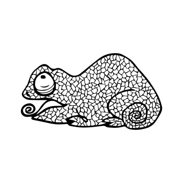 Векторні Ілюстрації Шамелеона Каракулем Розмальовка Зедала Дизайн Релаксації Дорослих — стоковий вектор