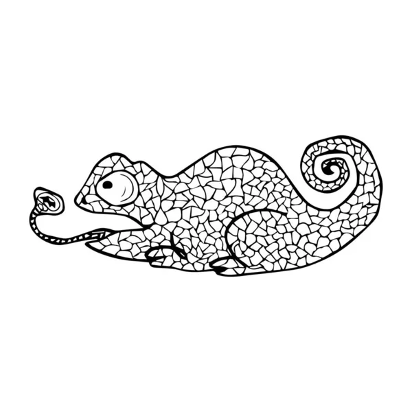 Illustration Vectorielle Caméléon Avec Motif Doodle Coloriage Zendala Design Pour — Image vectorielle