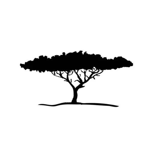 Векторный Силуэт Дерева Акации Флора Африки — стоковый вектор