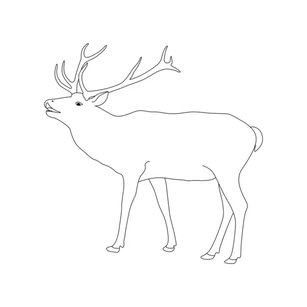 Vector Coloring Book Page Reindeer Outline Drawing — Stock Vector