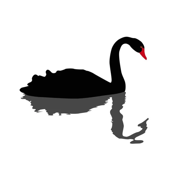 Illustration Cygne Noir Nageant — Image vectorielle