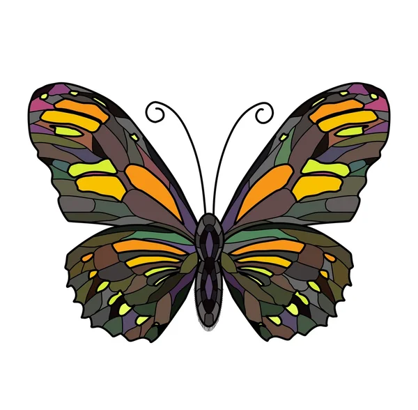 白地に蝶のイラスト — ストックベクタ