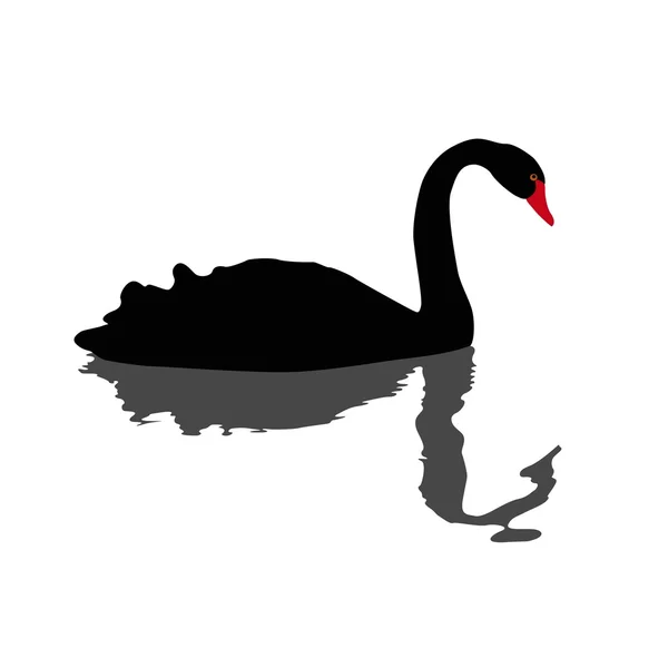 黒白鳥の水泳のイラスト — ストックベクタ