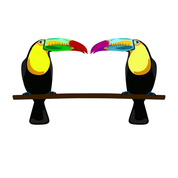 Ilustración de dos tucanes sobre fondo blanco — Vector de stock