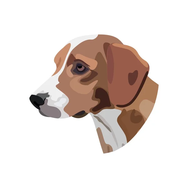 Illustration de la tête de chien sur fond blanc — Image vectorielle