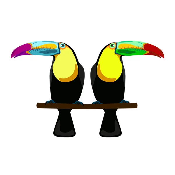 Illustration of two toucans on white background — Stock Vector