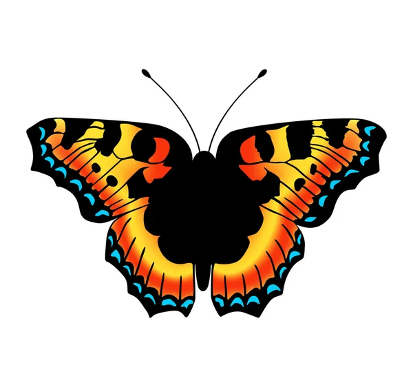 Ilustración vectorial de mariposa — Vector de stock