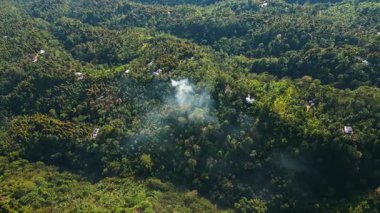 Etrafı yeşil arazilerle çevrili bir ormandan duman dalgaları yükseliyor. Havadan bakıldığında sık orman yanması, çevresel kaygıların vurgulanması.