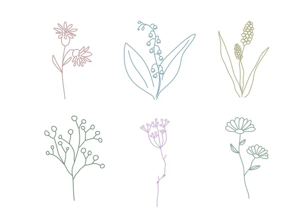 野生の花のアイコン。天然化粧品のロゴ要素 — ストックベクタ