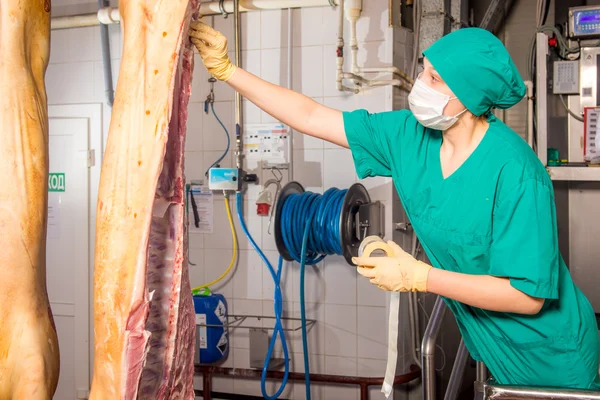 Fabbrica per la produzione di carne di maiale — Foto Stock