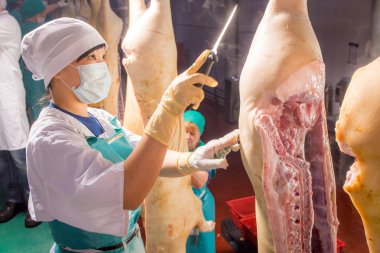 Fabrika domuz eti üretimi için