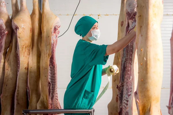 Fabbrica per la produzione di carne di maiale — Foto Stock