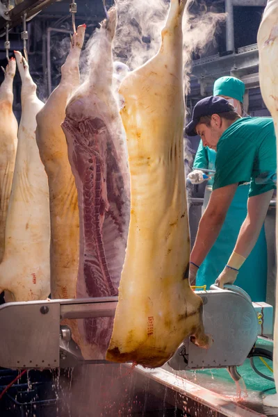 Ulan-Ude, Russia-1° marzo 2016: Fabbrica per la produzione di carne di maiale — Foto Stock