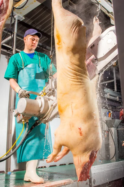 Ulan-Ude, Russia-1° marzo 2016: Fabbrica per la produzione di carne di maiale — Foto Stock