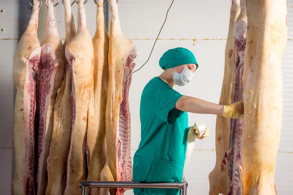 Fabrika domuz eti üretimi için — Stok fotoğraf