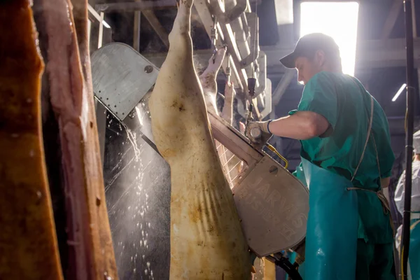 Fabbrica per la produzione di carne di maiale — Foto Stock